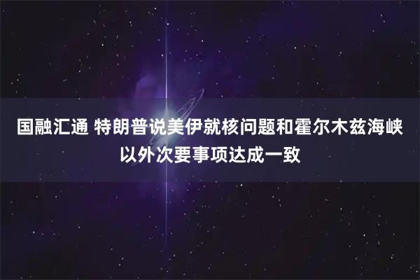 国融汇通 特朗普说美伊就核问题和霍尔木兹海峡以外次要事项达成一致
